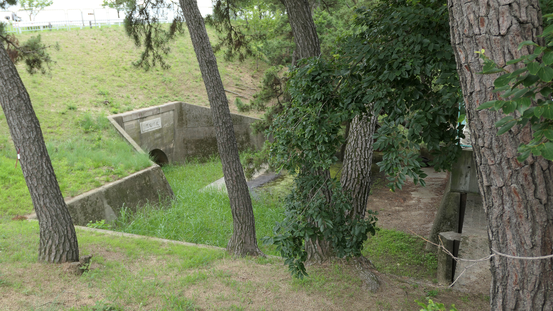 武庫川の堤防沿いにある「枝川樋門」。1923年に締め切られ、枝川は廃川となった