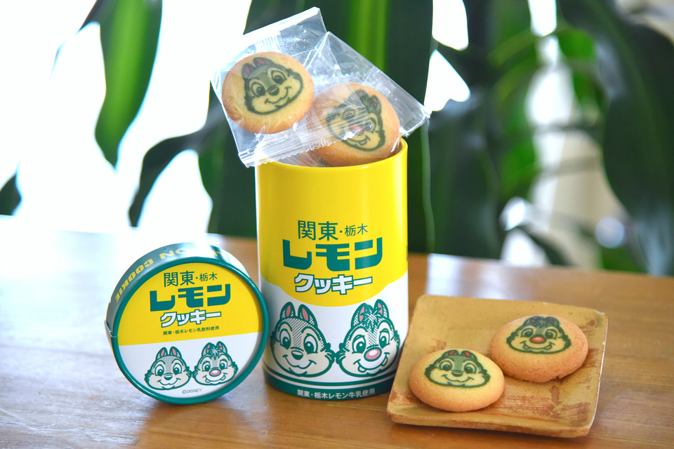 ディズニーストア　ドナルド 関東・栃木レモン ぬいぐるみ　ポーチ　おまけ付き Disney ドナルドダック レモンポーチ 関東・栃木レモン ディズニー