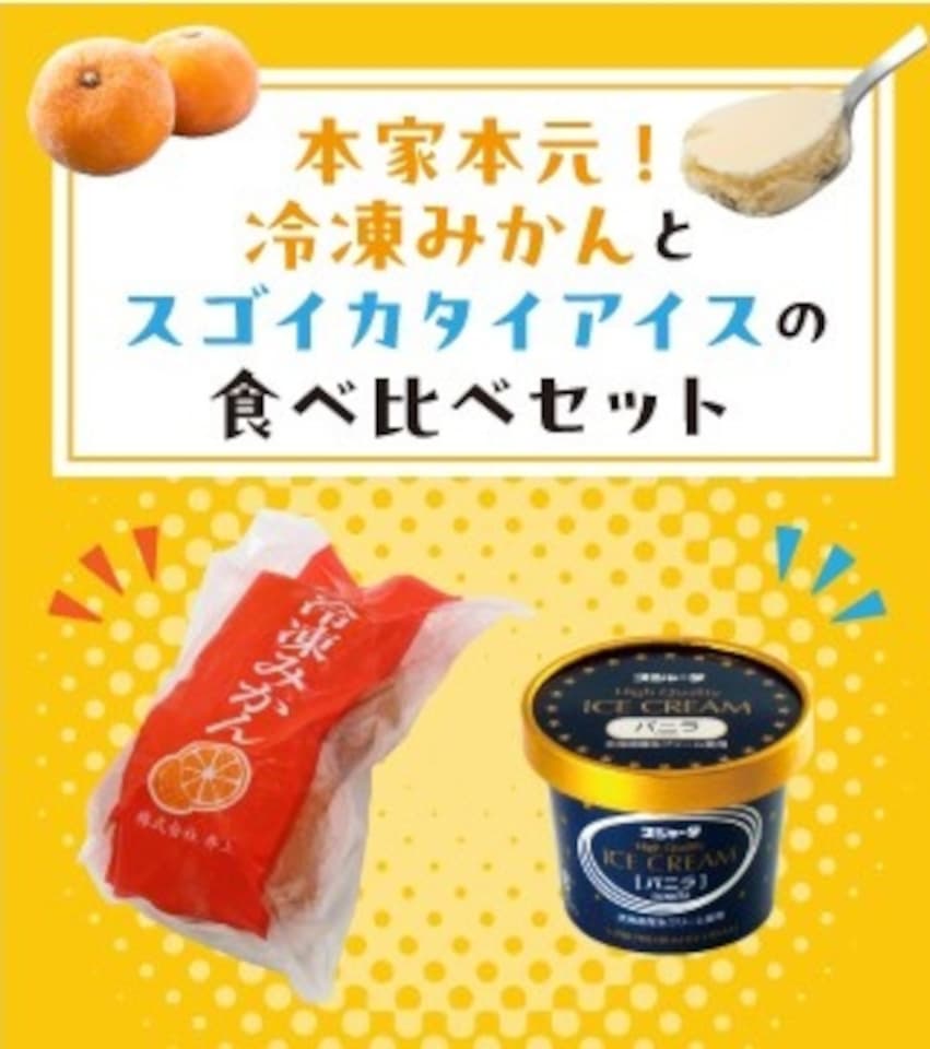 通常よりも硬いシンカンセンスゴイカタイアイスが自宅に届く！ 通販