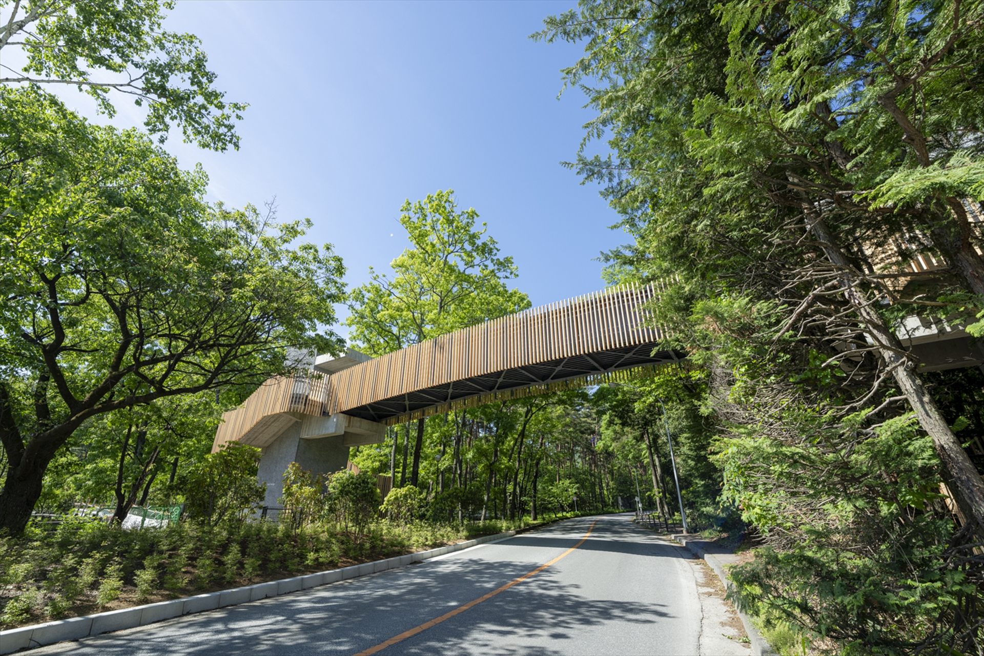 バードブリッジ