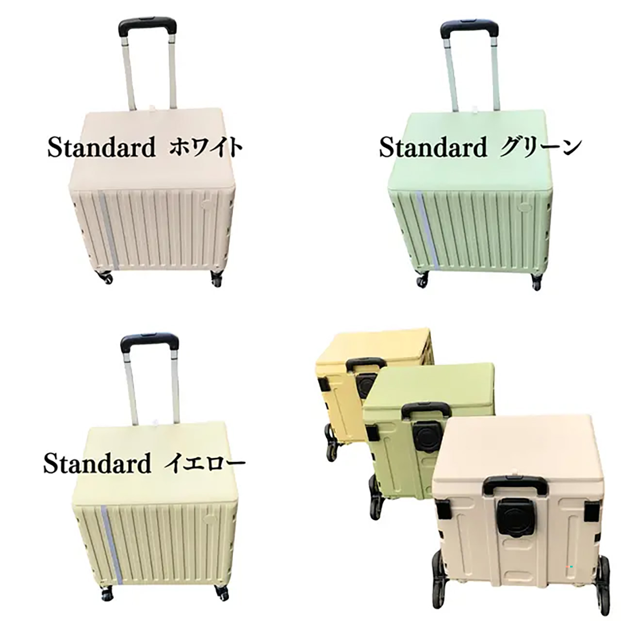 カラーはホワイト/グリーン/イエロー