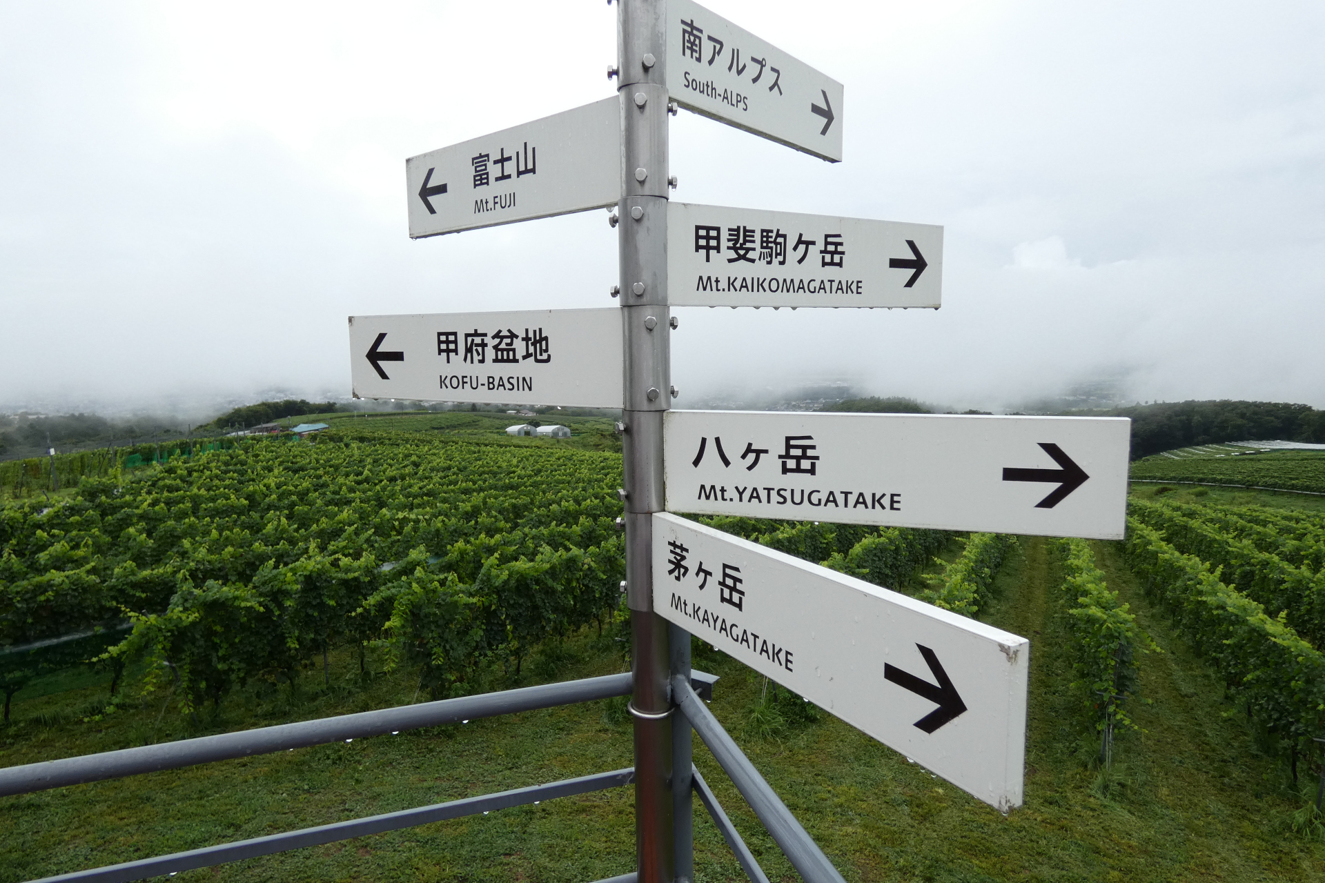 サントリー登美の丘ワイナリーの眺望台より