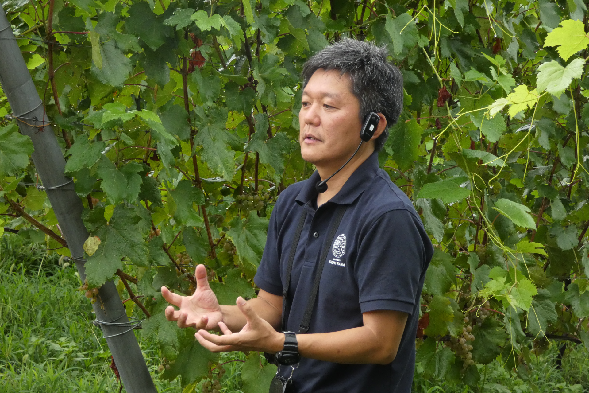 ワイン生産部 登美の丘ワイナリー 栽培技師長の大山弘平氏