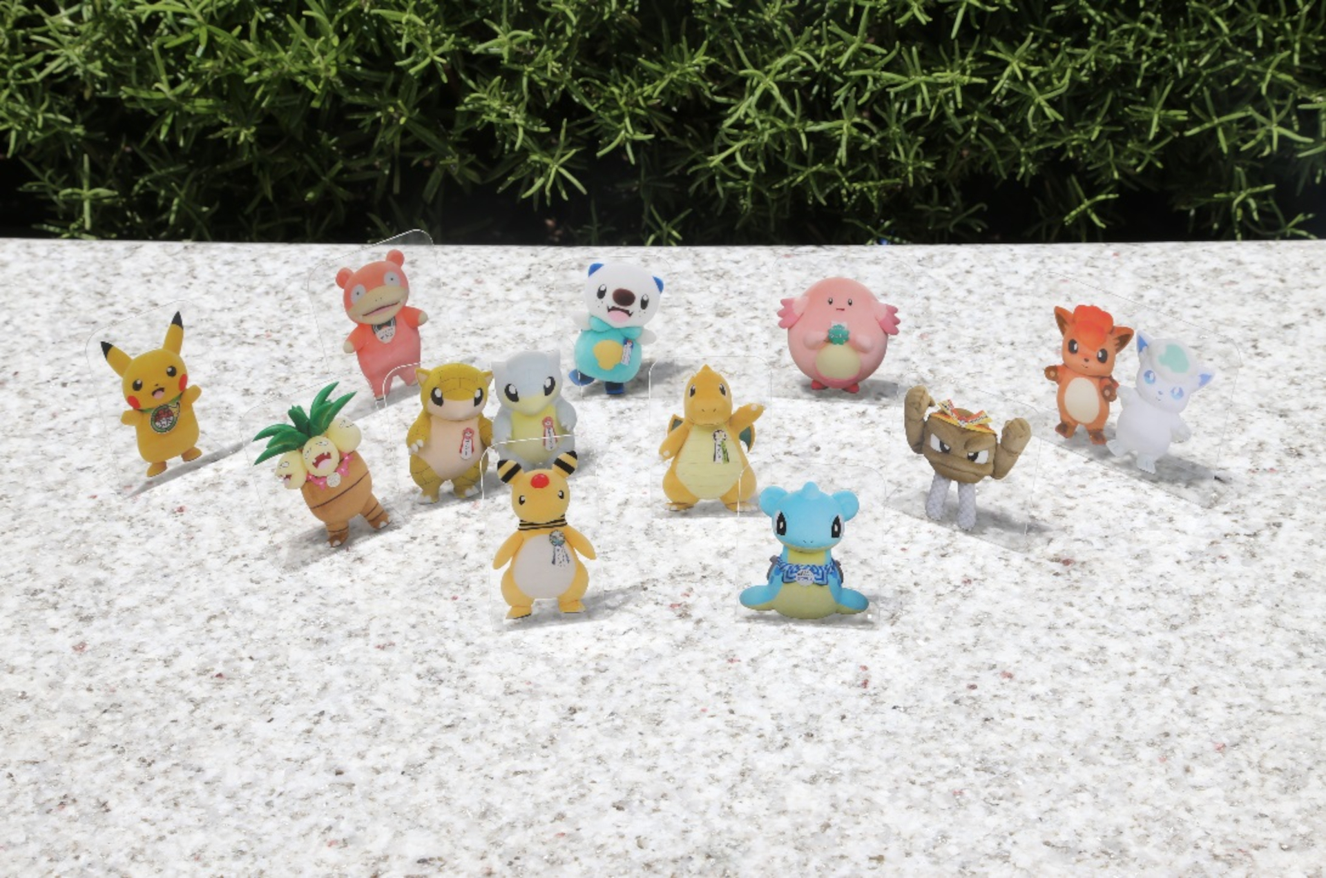 付録はポケモン旅のお供になる「クリアスタンドシート」