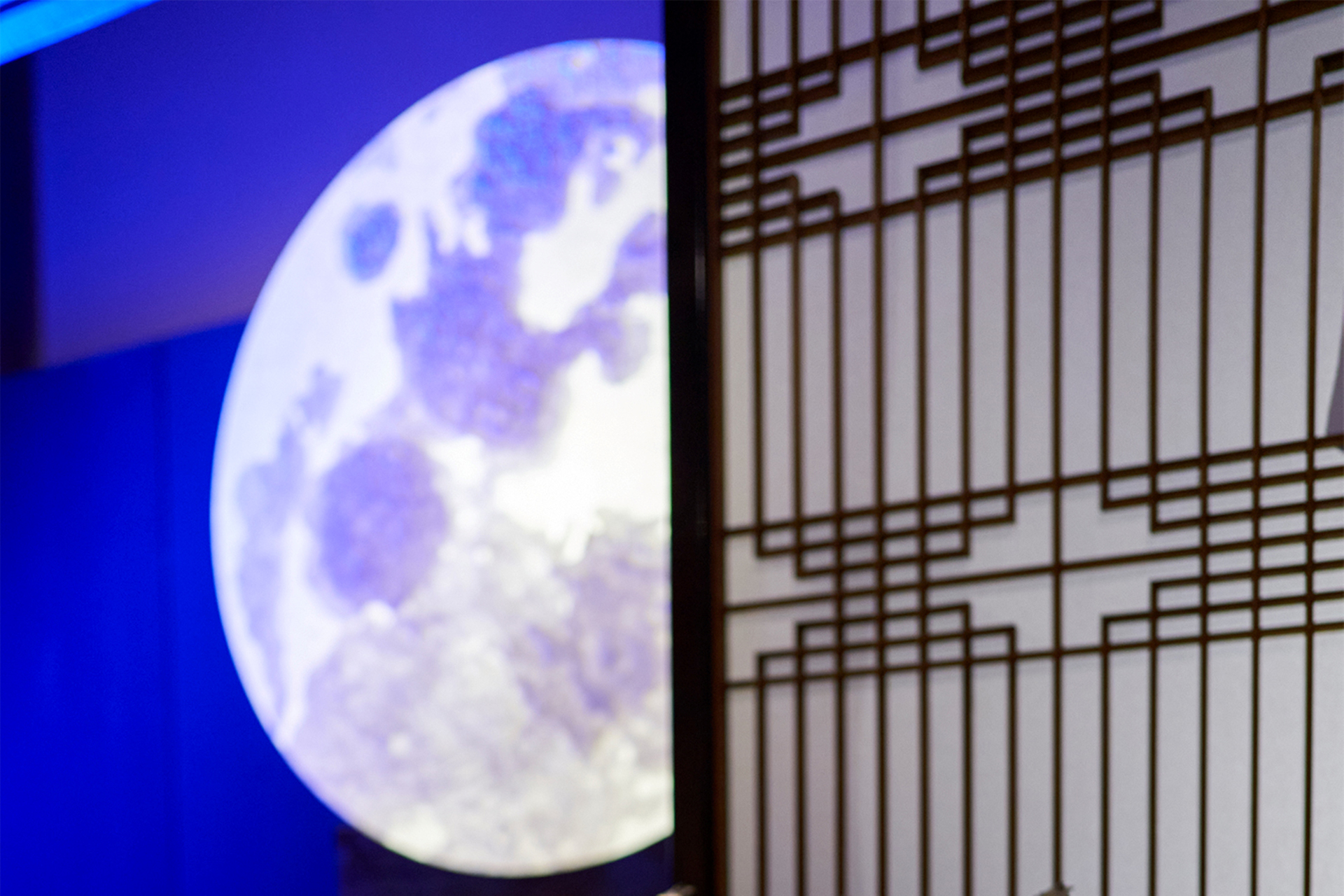 夜間スペシャルチケット