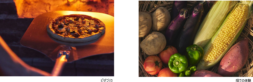 地域体験、ワークショップ