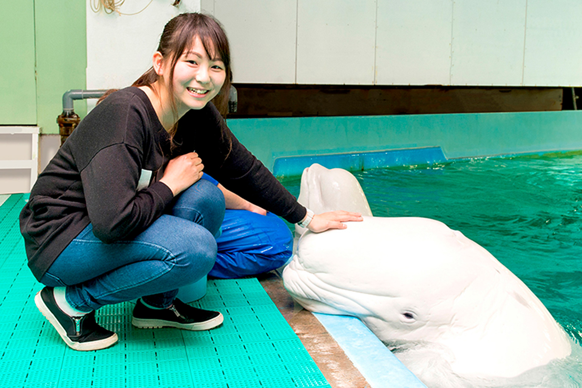 ベルガーへのタッチ