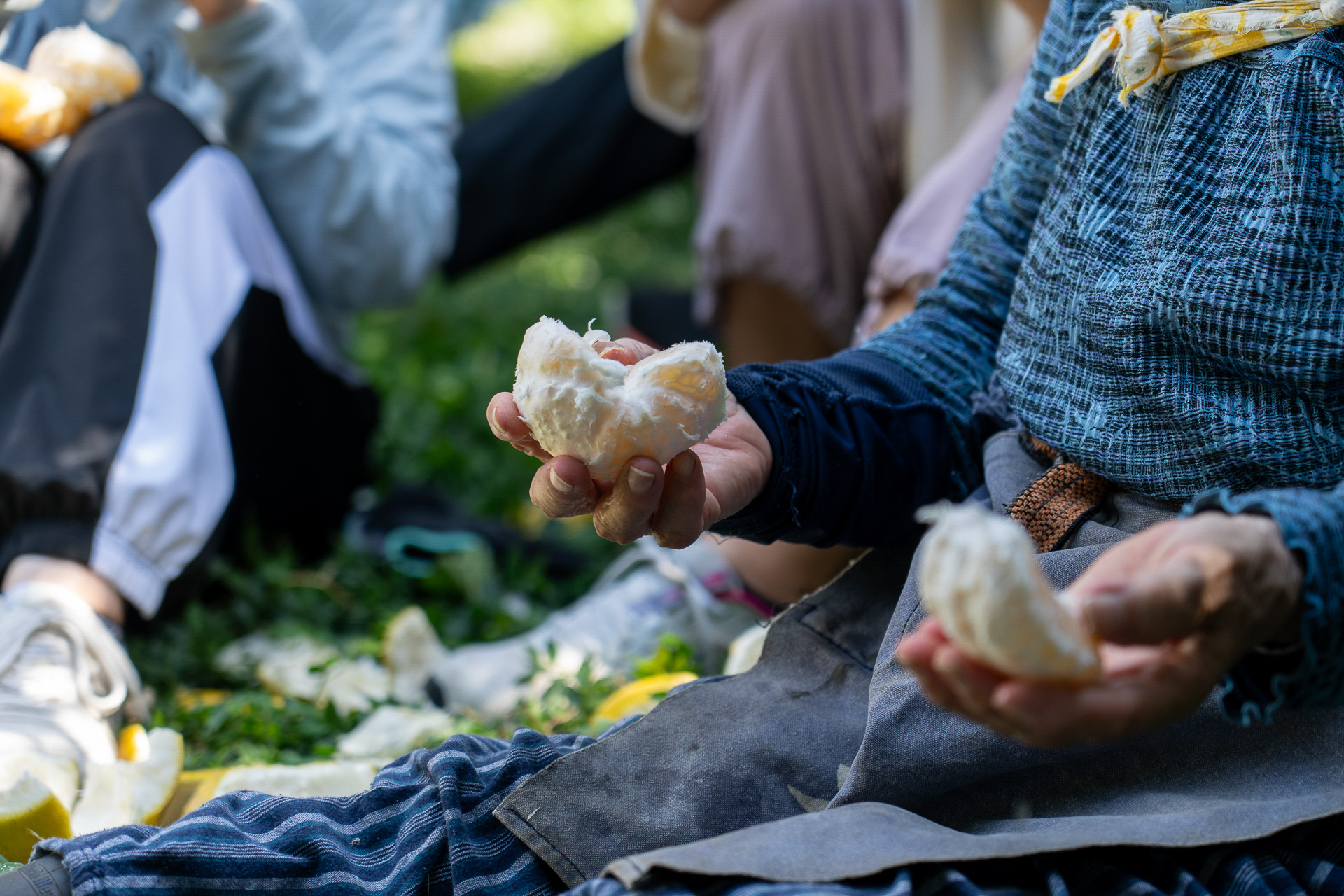 冷凍しておいたという天草晩柑をいただく。みずみずしくて美味しい！