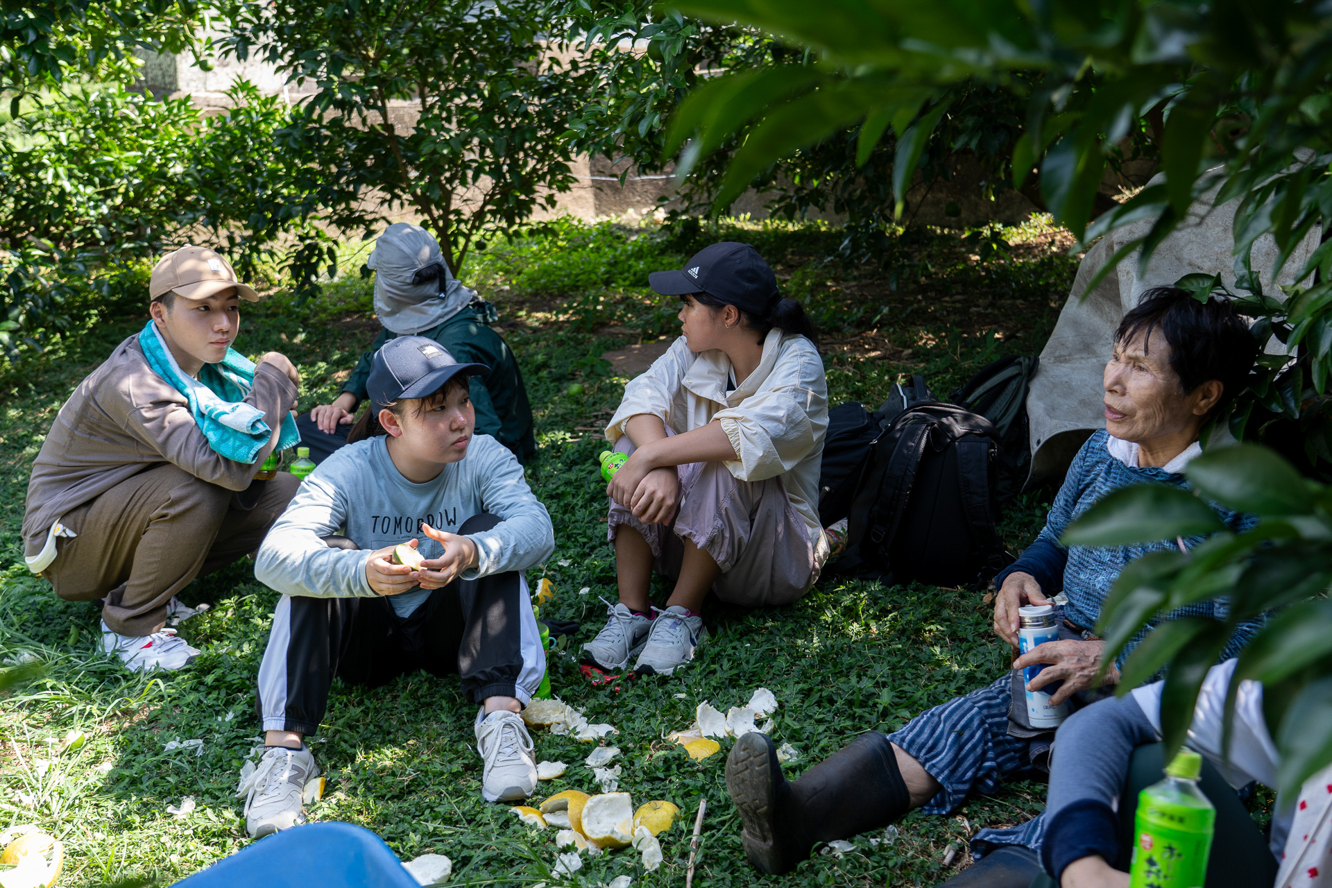 甘夏の樹の木陰に腰を下ろして休憩