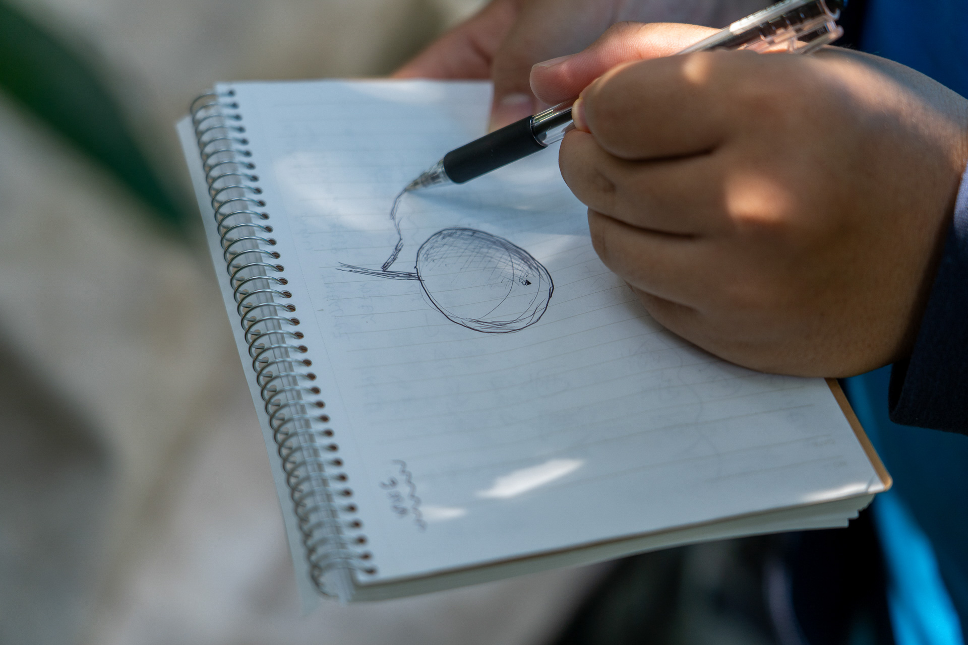 デッザンをはじめる子も