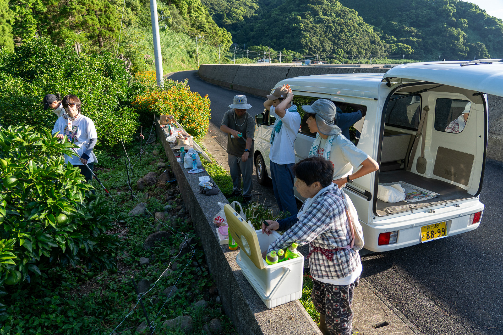 クルマで到着した甘夏畑