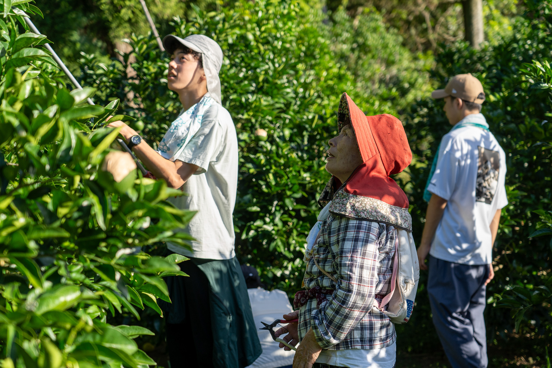 朝から日差しが強い