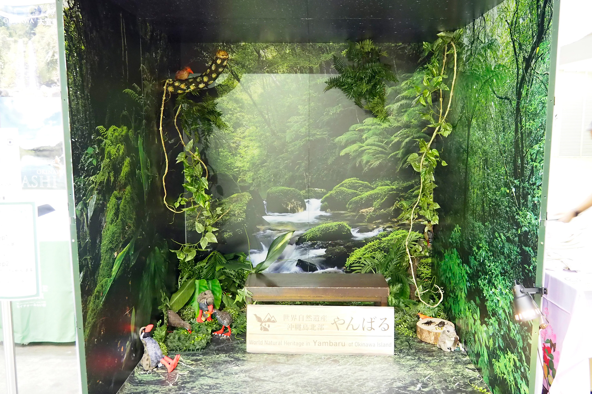 やんばるフォトブース