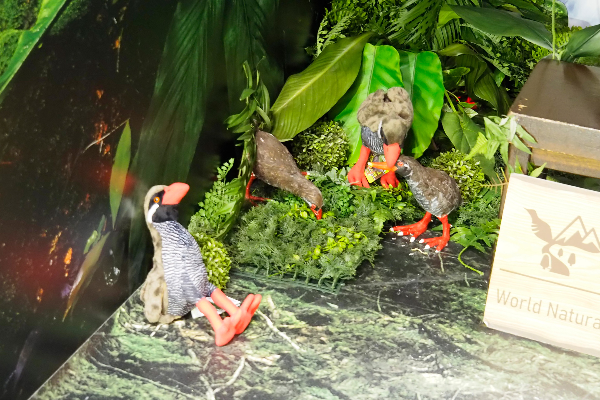 ヤンバルクイナのぬいぐるみがいる