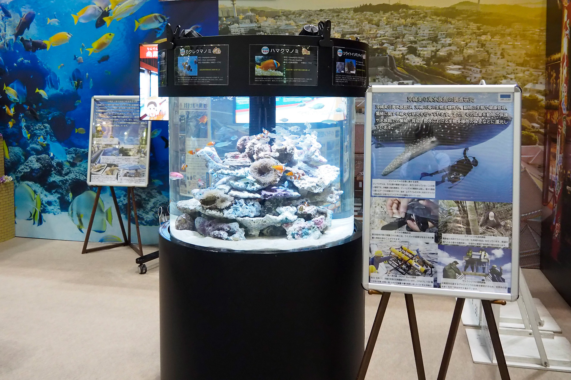 美ら島財団のブース