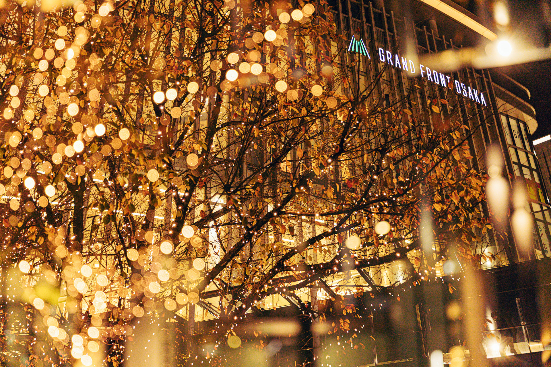 今年は9月6日に先行まちびらきを迎えたグラングリーン大阪とともにイルミネーションを実施