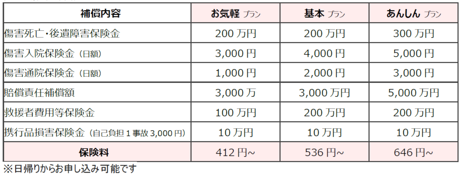国内旅行保険