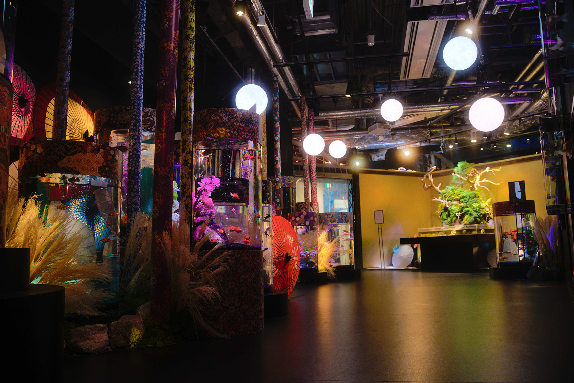 月のライトとススキの演出