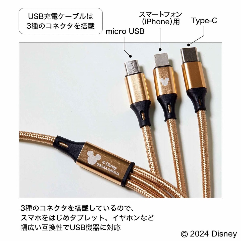 大人のおしゃれ手帖、ミッキーの3Way USB充電ケーブルやカードライト