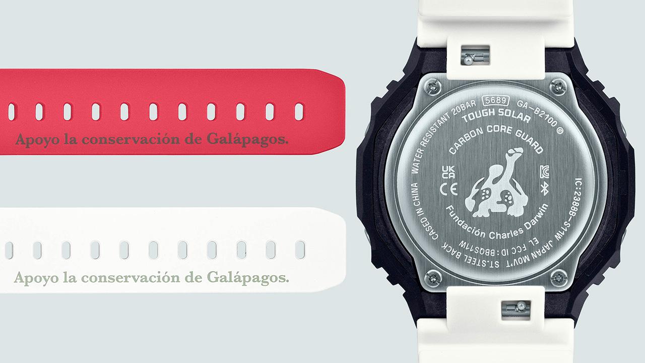 裏蓋とバンドにはスペイン語で刻印