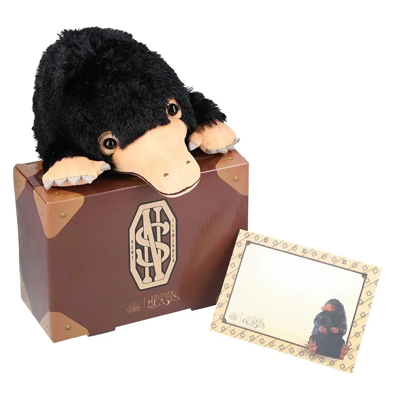 箱の中にはメッセージカード付き