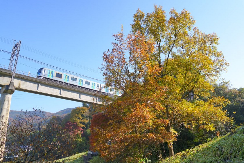 西武鉄道は11月14日～17日に「埼玉県民の日 記念 西武線1日フリーきっぷ」を発売する