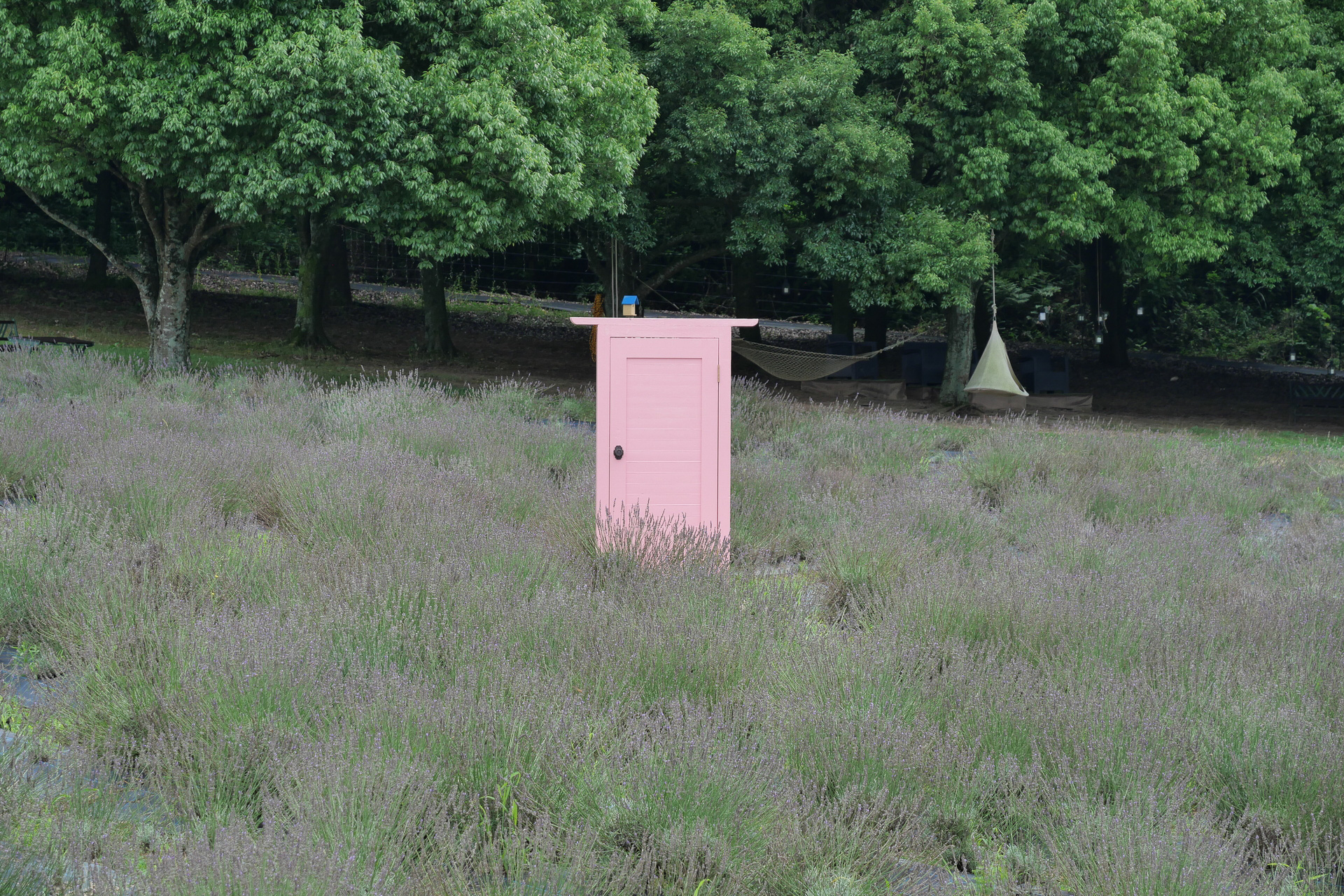 花畑のなかに、撮影用の扉があり、映える写真を撮影できる