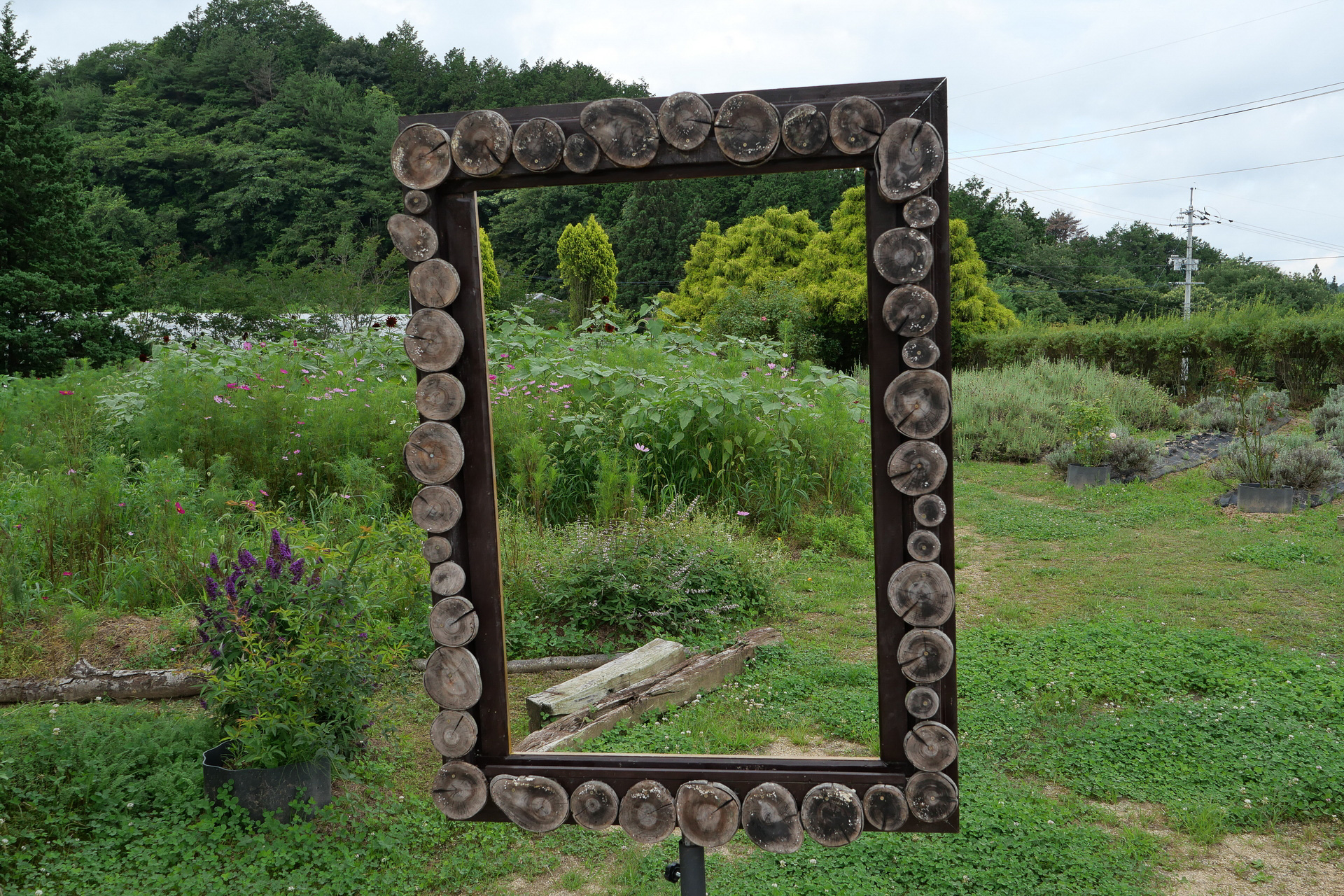 花に囲まれる絵画の一部になったかのような写真が撮影できるフォトフレームもある
