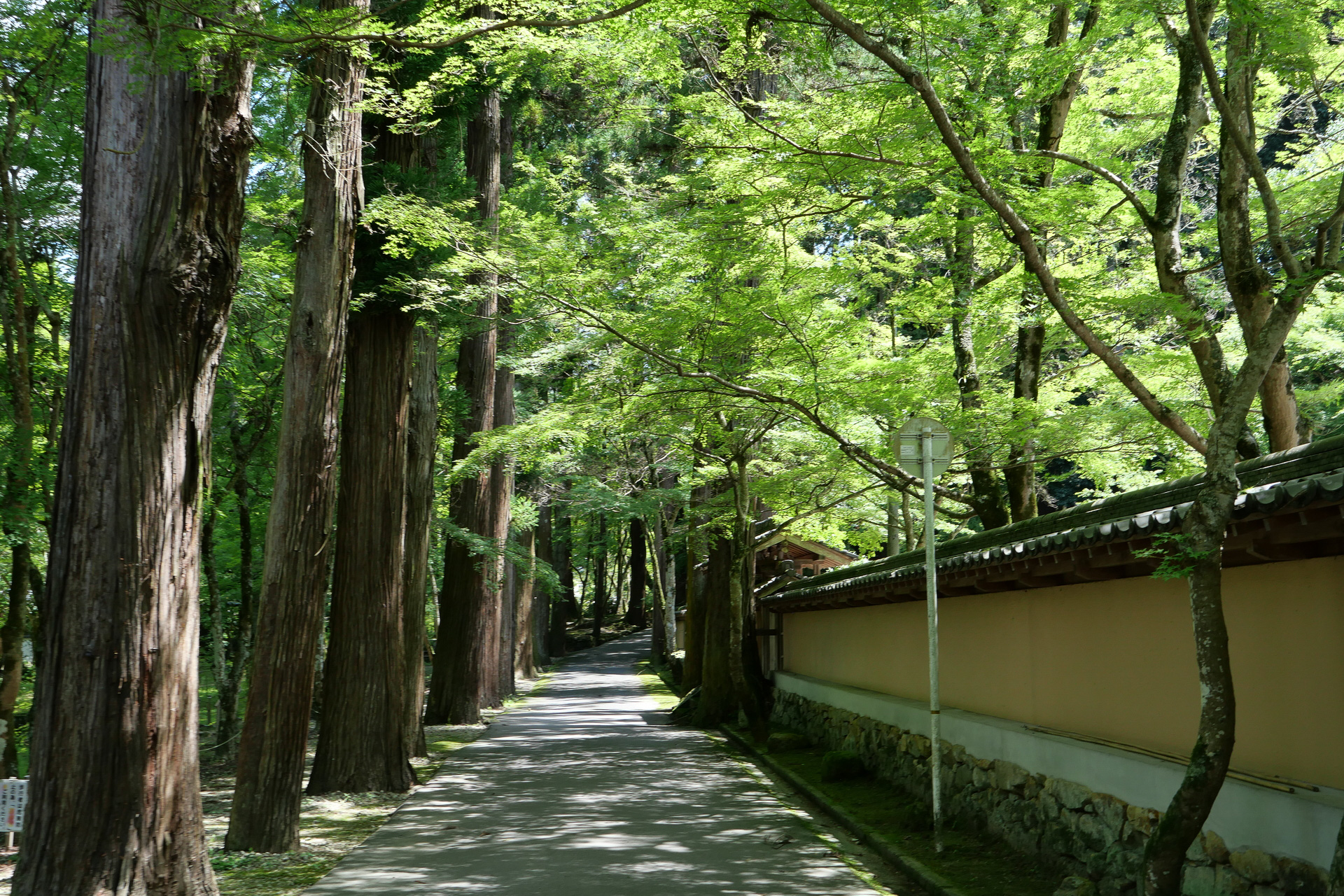 自然豊かで、落ち着いた雰囲気は、まさに名刹と呼ぶにふさわしい