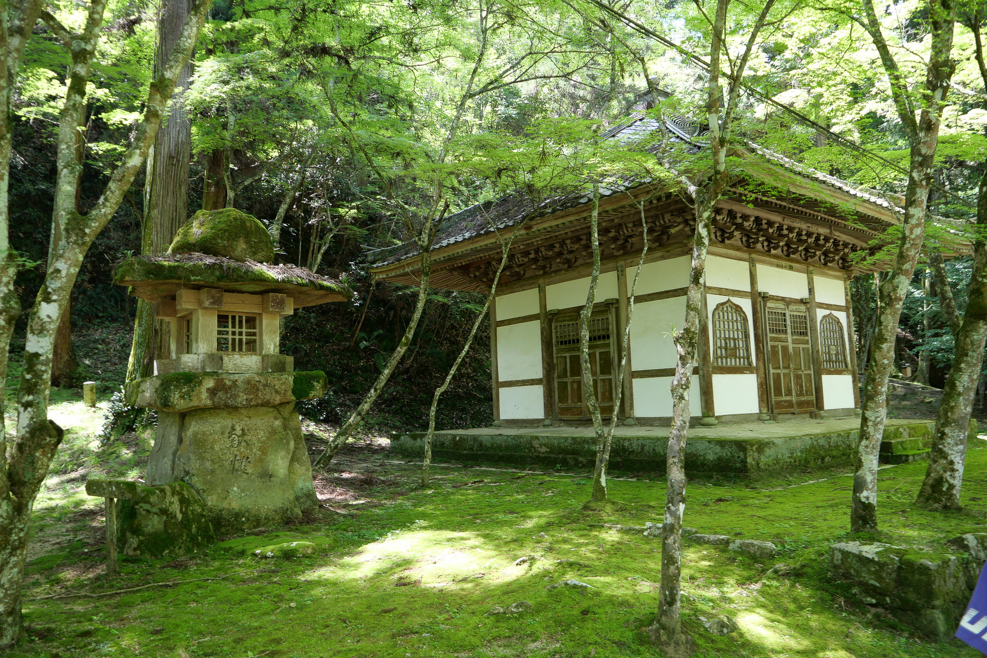 文化財に指定されているお堂や十一面観世音菩薩立像など、見どころは多い