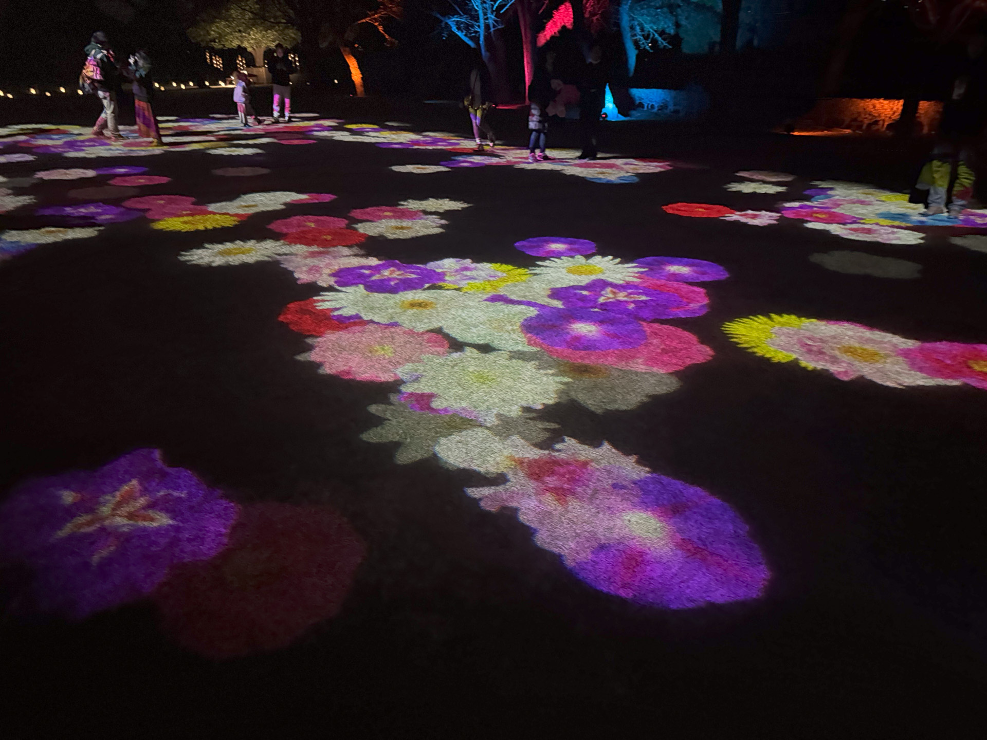 人が歩くと後ろに色鮮やかな肥後六花が出現