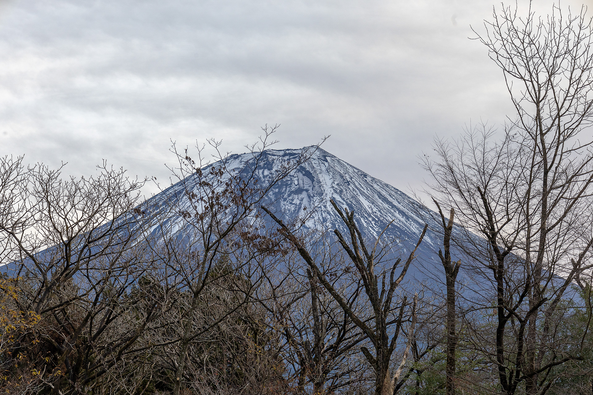 翌朝の富士山。冠雪があるとやはりきれい