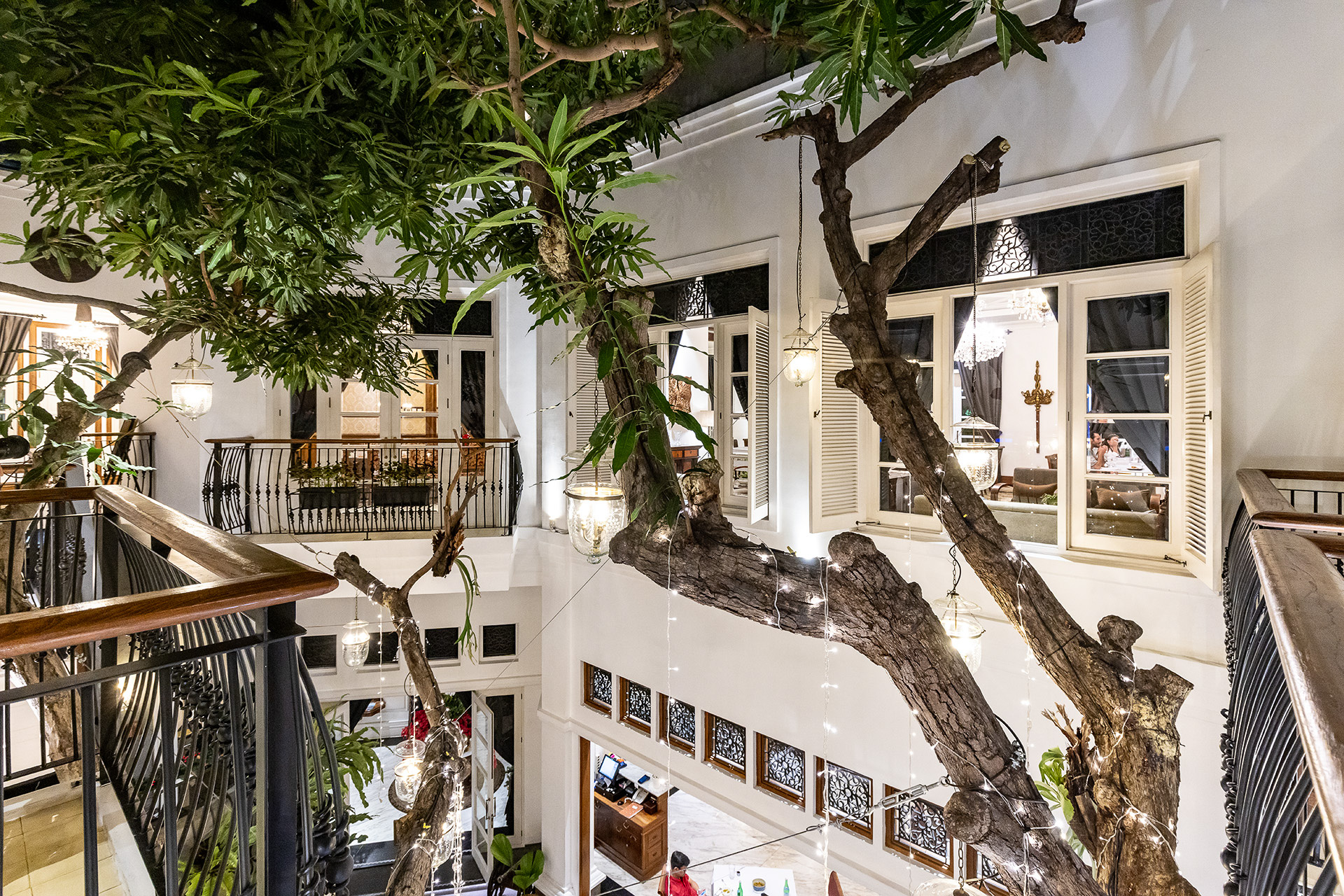 中庭には大きなマンゴーの樹。取り放題じゃんと思ったら屋根があるのであまり実はつかないという