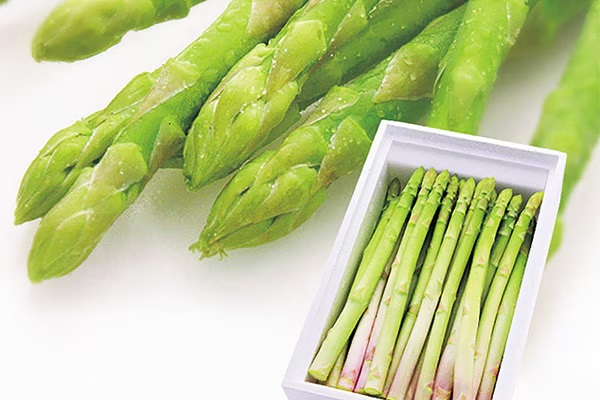 就航地域の特産品