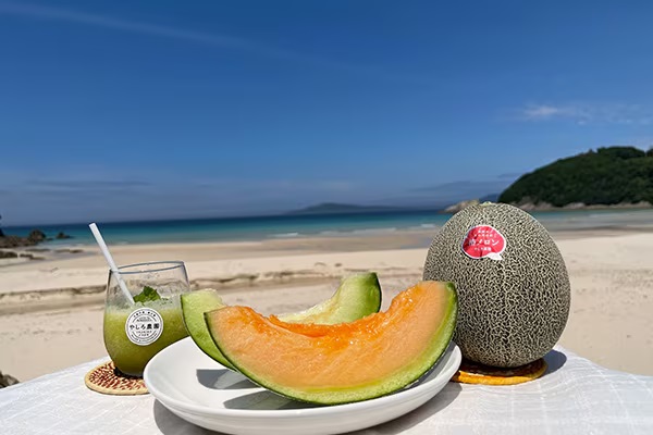 就航地域の特産品