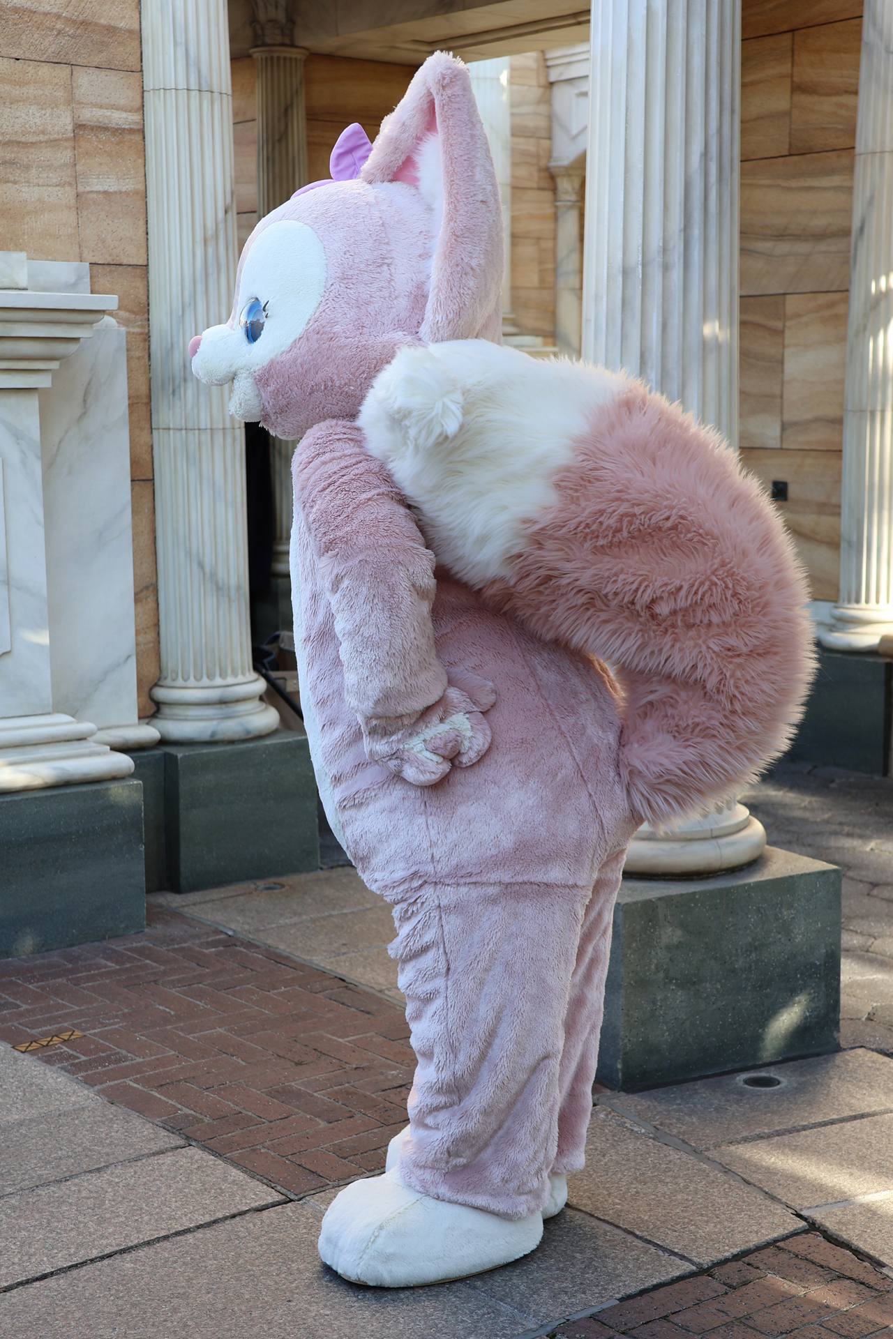 思わず触りたくなる、ふわふわの大きなしっぽも間近に！