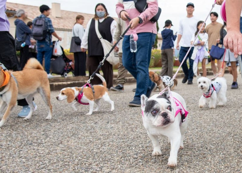 みんなでパレード