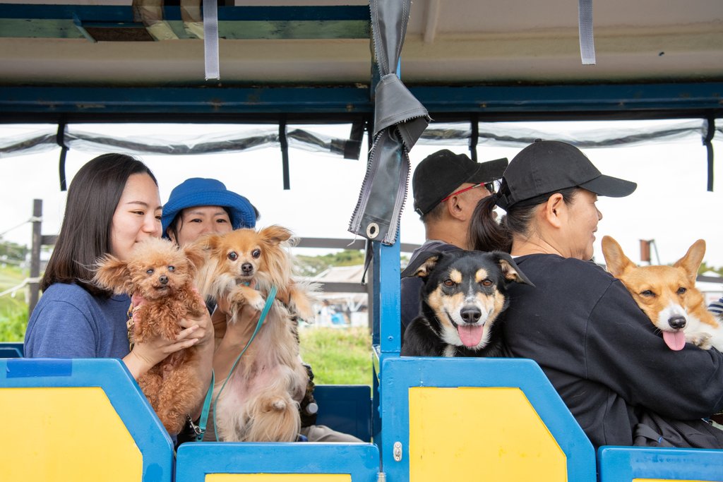 アトラクションも愛犬と一緒に楽しめる