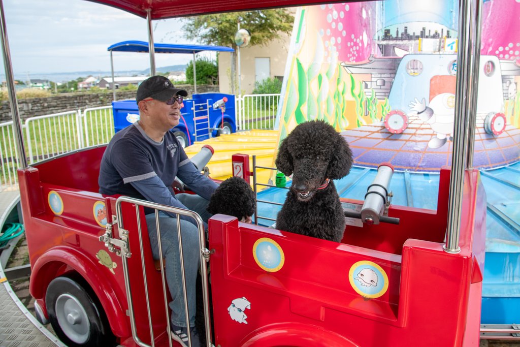 アトラクションも愛犬と一緒に楽しめる