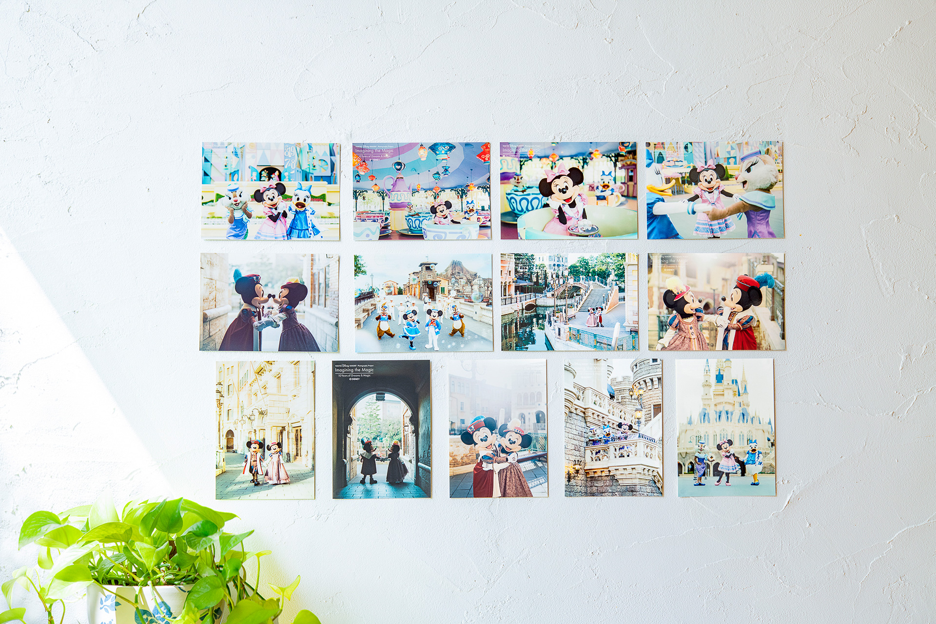 2Lサイズの写真も作品として販売。実際に飾って楽しむこともできる