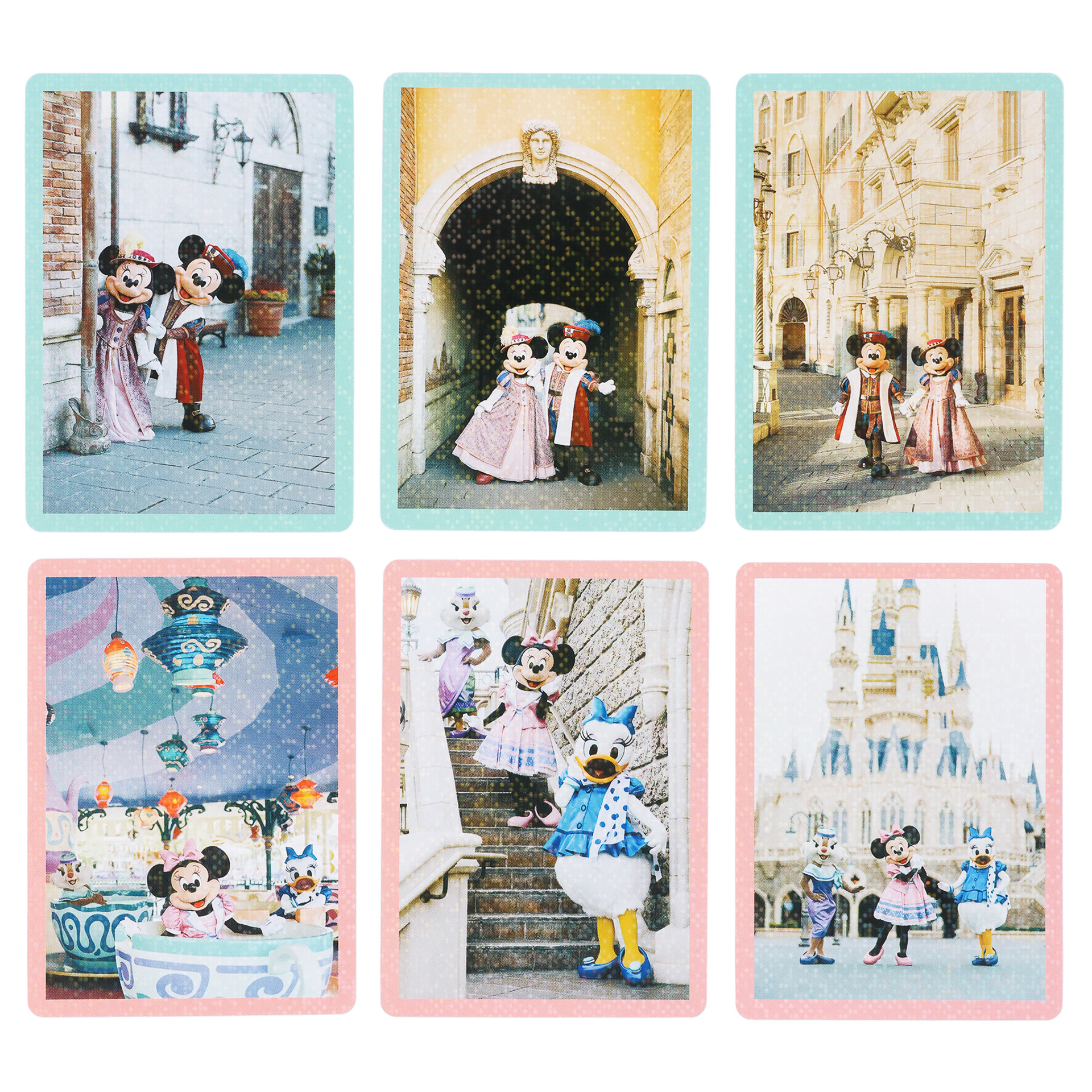 1パック6枚入り