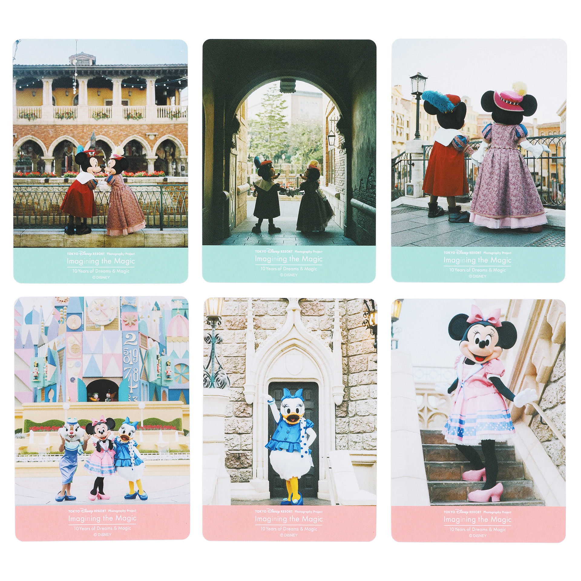 1パック6枚入り