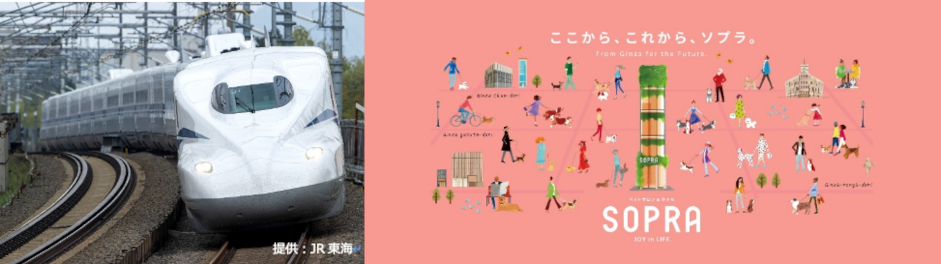 愛犬と一緒に東海道新幹線に乗車できる、先着26組限定「わんわんエクスプレス」。飼い主にもうれしい特典付き