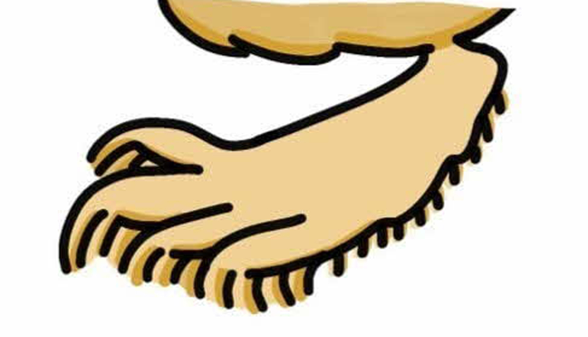 足には櫛状の毛が生えている