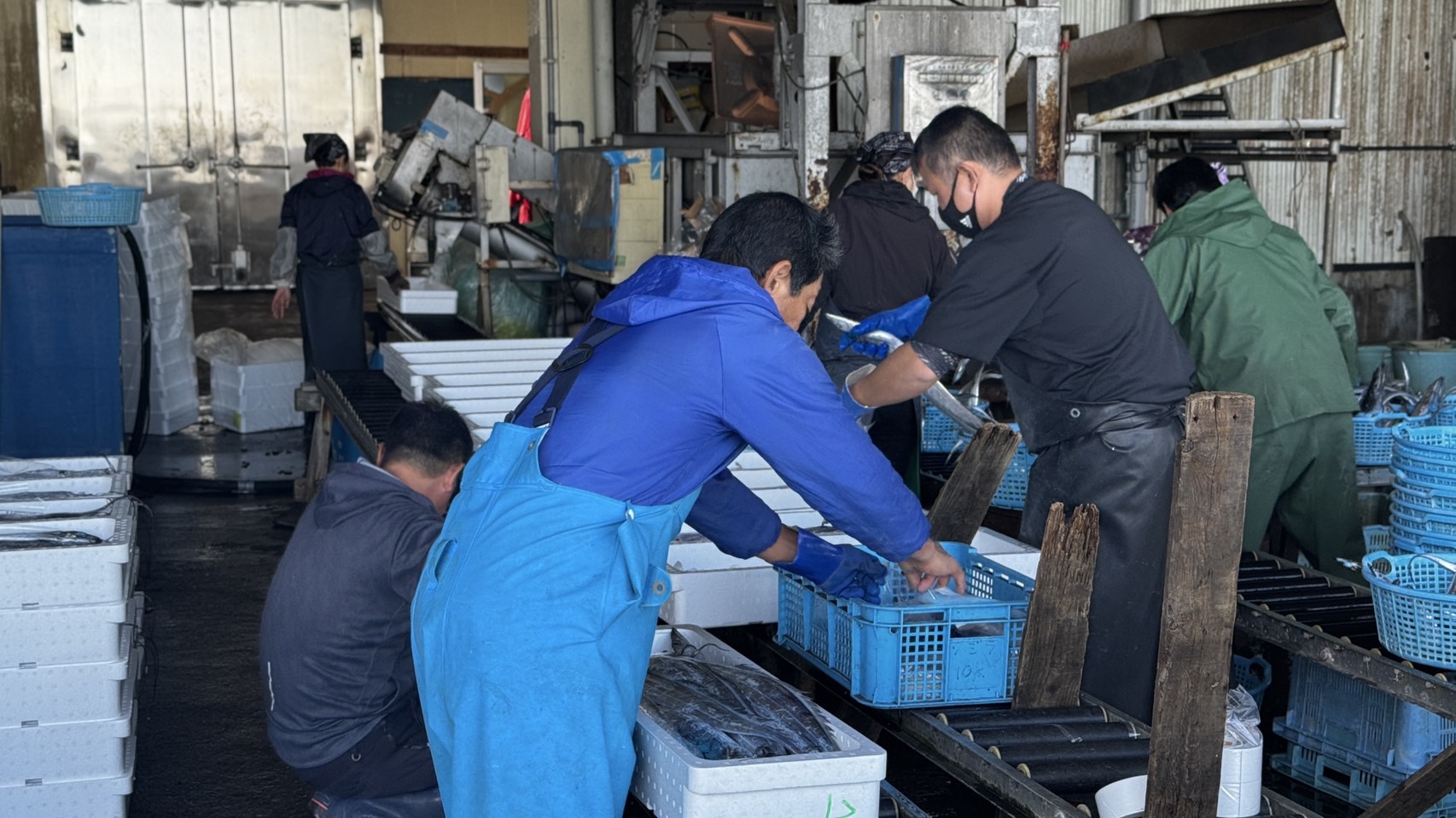 新鮮な魚介で料理やBBQを楽しむこともできる