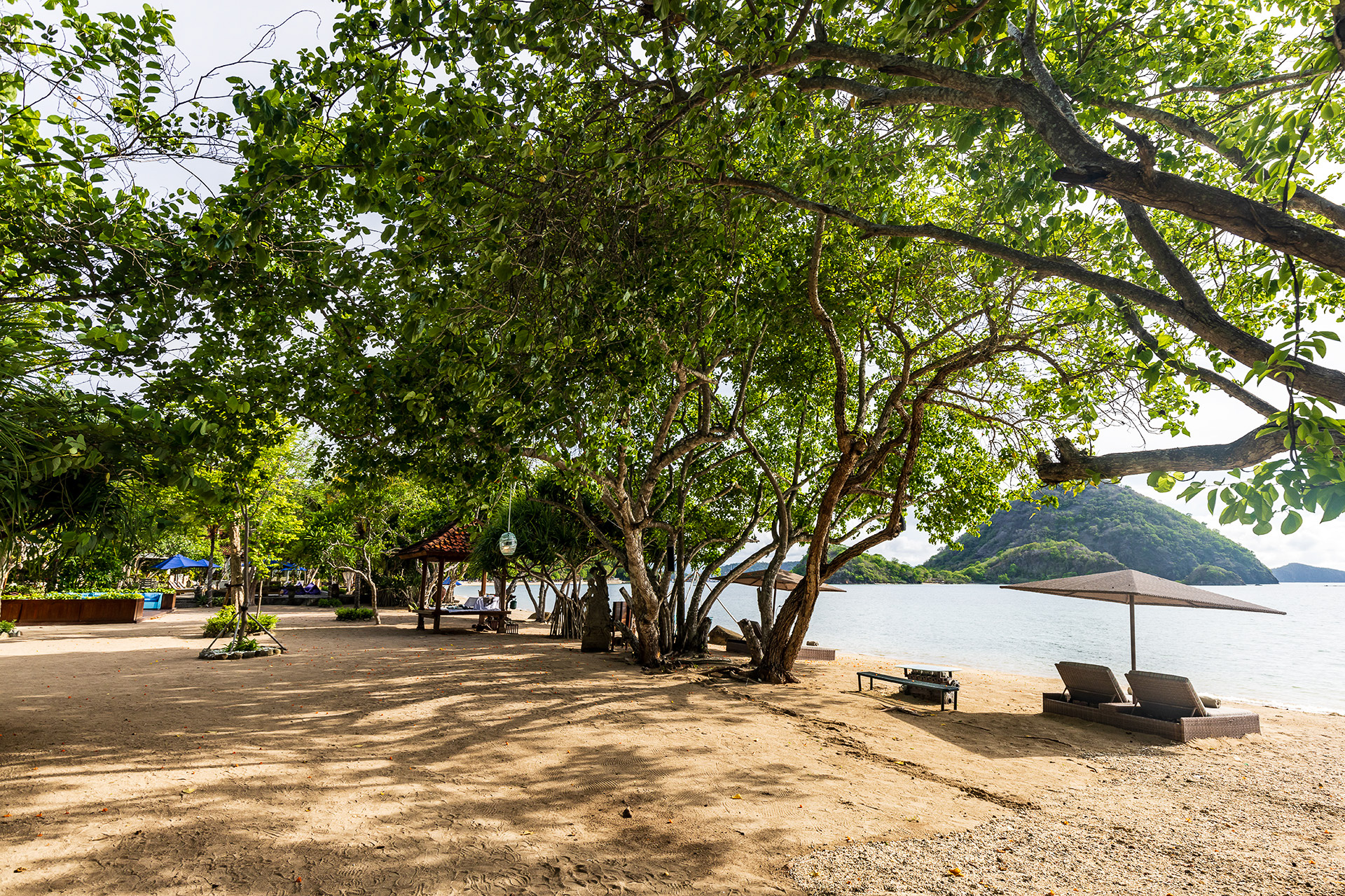 プールなど施設の前はすぐにビーチ