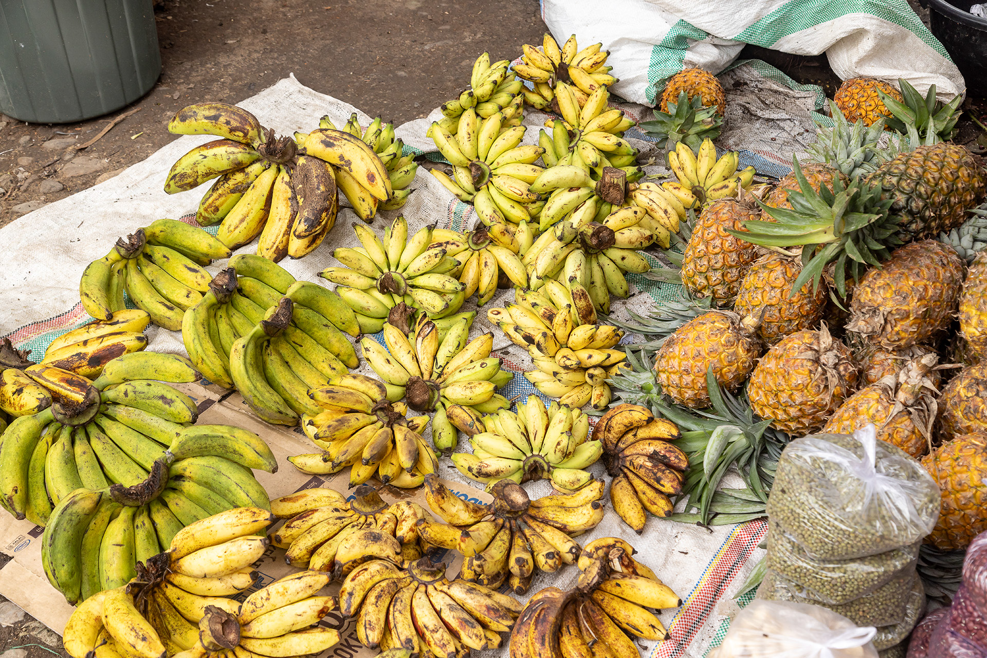 南国だけに果物がたくさん。このずんぐりとしたバナナが美味しいんだよな～