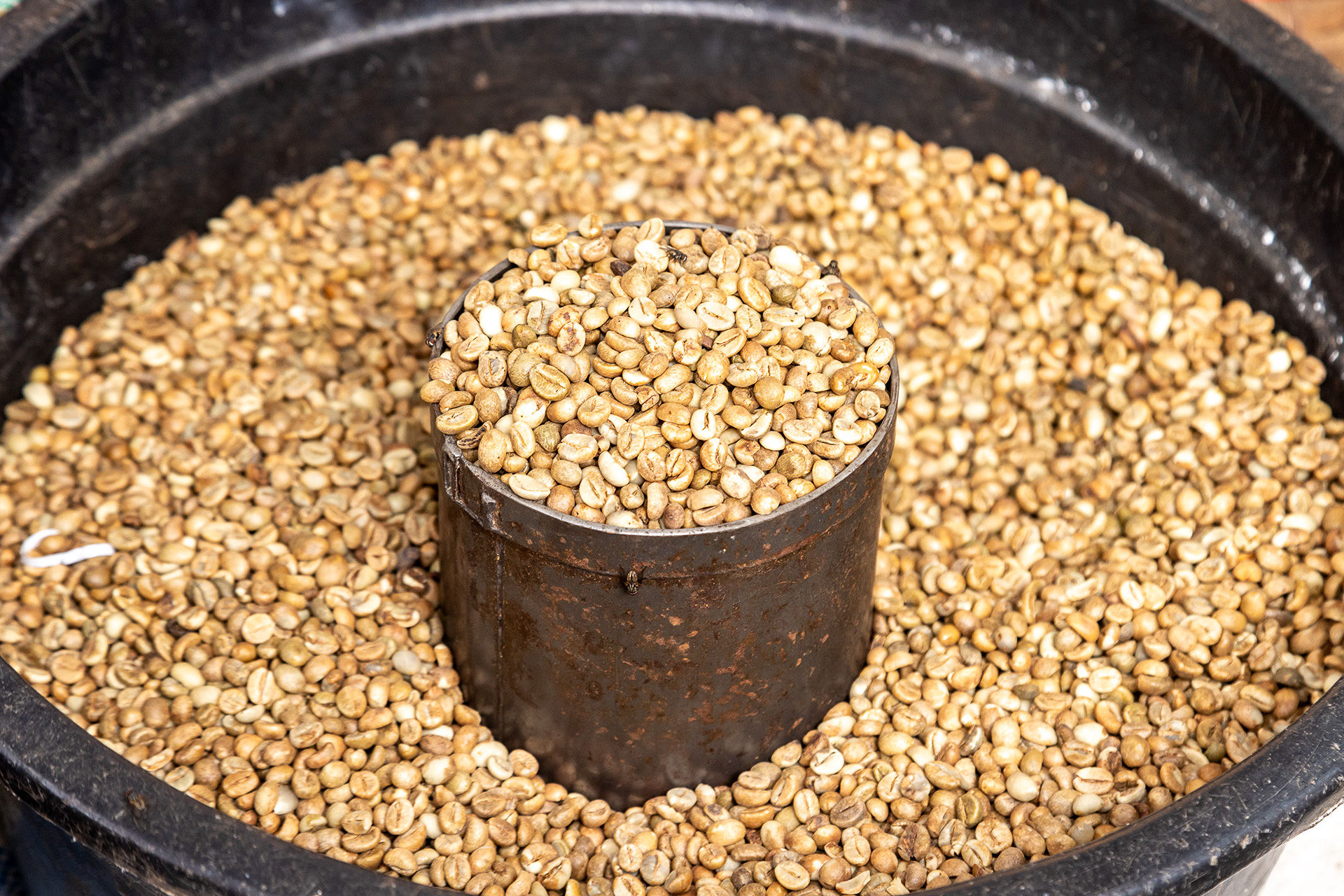 ローストされていないコーヒー豆も