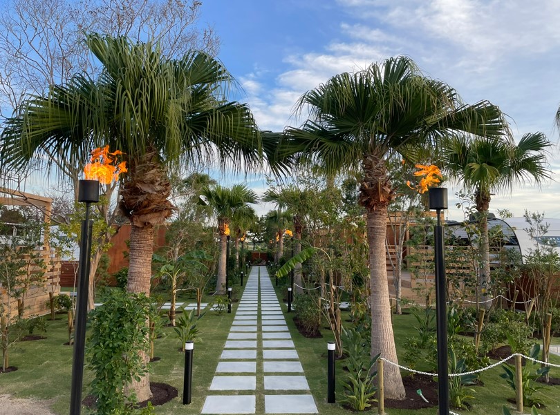 ヤシの木とガス灯