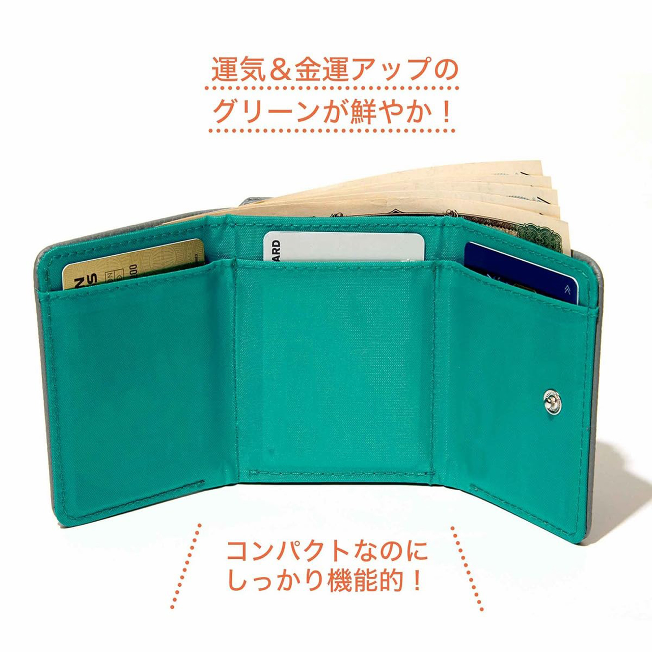 内側は鮮やかなグリーン